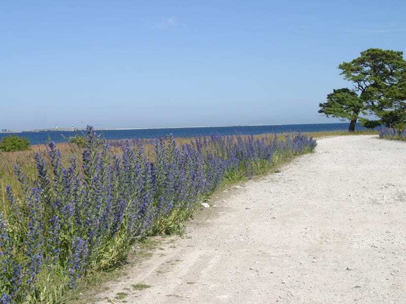 とても綺麗な海♪_B