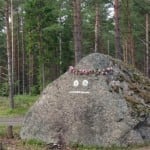 44