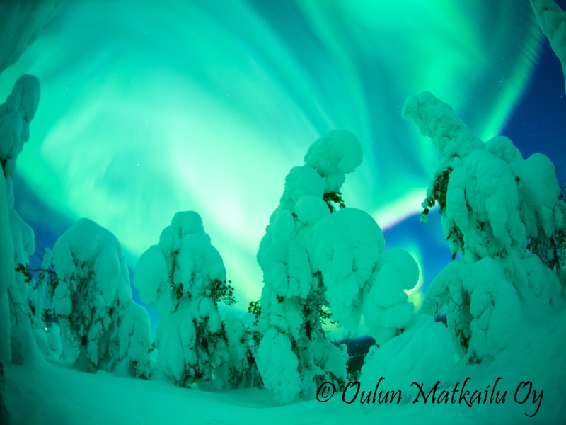 Syote-talvi-revontulet-winter-northen-lights-2